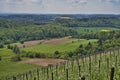 Kraichgau landscape, the Toscana of Germany, view over Eichelberg, Oestringen in May