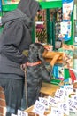 A large black Rottweiler dog stands on its hind legs and looks out the open window of the store. Royalty Free Stock Photo