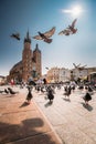 Krakow, Poland. Doves Birds Flying Near St. Mary`s Basilica. Pig