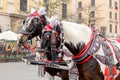 Krakow, Poland, Cracow traditional horse drawn carriage ride, two horses closeup, detail, Old Town, city tours, popular attraction