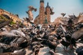 Krakow, Poland. Doves Birds Near St. Mary's Basilica. Pigeons Take-off Flying Near Church Of Our Lady Assumed Into Royalty Free Stock Photo