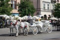 KRAKOW, POLAND/EUROPE - SEPTEMBER 19 : Carriage and horses in Kr Royalty Free Stock Photo