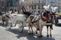 KRAKOW, POLAND/EUROPE - SEPTEMBER 19 : Carriage and horses in Kr Royalty Free Stock Photo