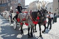 KRAKOW, POLAND/EUROPE - SEPTEMBER 19 : Carriage and horses in Kr Royalty Free Stock Photo