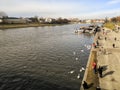 The banks of the river flowing through the city center of Krakow