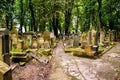 Krakow, Poland - 18 July 2016: Old Jewish cemetery with tombs overgrown with moss and grass and tall trees