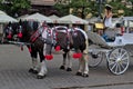 Woman inviting to take tour on horse-drawn carriage.