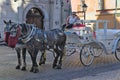 Woman inviting to take tour on horse-drawn carriage.