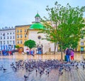 Feeding doves in Krakow, poland