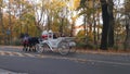 Krakow, Poland, November 15, 2022: A wagon with tourists rides along the old streets of Krakow. Horse carriage