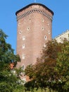 KRAKOW WAWEL CASTLE,POLAND Royalty Free Stock Photo