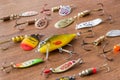 Baits for fishing is on the wooden background