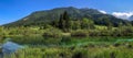 Kranjska Gora Zelenci park. Lake Zelenci in Slovenia during spring Royalty Free Stock Photo