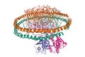 Structure of KRAS4B-GDP homodimer on a lipid bilayer nanodisc Royalty Free Stock Photo
