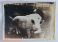 Krasavino, Vologda region of the USSR - circa 1960. A farm worker with her ward pig. Vintage photography