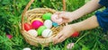 Krashenki homemade eggs in the basket and the hands of a child. Selective focus