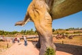 Krasiejow: jurapark- dinosaur theme park Royalty Free Stock Photo