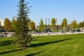 Krasnodar, Russia - October 7, 2018: Soft green lawn and trees of the original form in the park Krasnodar or Galitsky