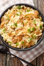 Krautfleckerl Austrian Noodles with Cabbage closeup on the bowl. Vertical top view