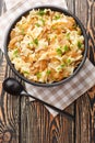 Krautfleckerl are a traditional Austrian food made out of noodles fleckerl pasta and caramelized cabbage closeup on the bowl.