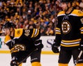 Krejci and Boychuk Royalty Free Stock Photo