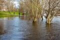 Kremenchuk city, Ukraine - April 17, 2023: Water floods the floodplain and the bank of the Dnieper river (Dnipro)