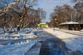 Kremenchuk city, Ukraine - December 14, 2022: Alley covered with snow in the park in winter on a sunny day