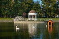 Scenic pond with waterfowl in the city garden on a sunny day in Kremenchuk city, Ukraine