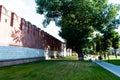 Kremlin wall. Powerful beautiful old wise tree.