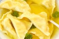 Kreplach - Jewish ravioli in chicken soup Royalty Free Stock Photo