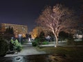 Kretzulescu park in Bucharest, Romania at night Royalty Free Stock Photo