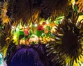 Krewe Members Tossing Parade Throws in the Orpheus Parade