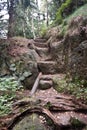 Krieche hiking trail goes to Topfer hill in Zittauer Gebirge Royalty Free Stock Photo
