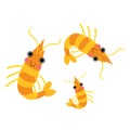 Krill animal cartoon character vector illustration
