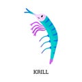 Krill shrimp planktonic crustacean animal flat vector illustration isolated.