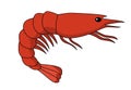 Krill vector illustration.Red prawns vector