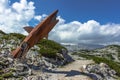 Krippenstein,Austria-August, 2020.The 8 m long Dachstein shark on the Heilbronn circular trail with magnificent views of