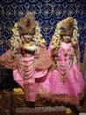 krishna Jayanti festivel