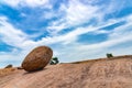 The Krishna`s Butterball in Tamil Nadu, India