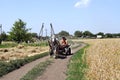 A farmer with his family rules the carriage with a horse riding a rural road along a wheat field.