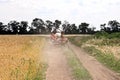 A farmer with his family rules the carriage with a horse riding a rural road along a wheat field.