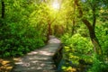 Krka national park wooden pathway in the deep green forest. Colorful summer scene of Krka National Park, Croatia, Europe. Wooden Royalty Free Stock Photo