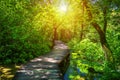 Krka national park wooden pathway in the deep green forest. Colorful summer scene of Krka National Park, Croatia, Europe. Wooden Royalty Free Stock Photo