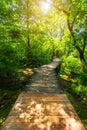 Krka national park wooden pathway in the deep green forest. Colorful summer scene of Krka National Park, Croatia, Europe. Wooden Royalty Free Stock Photo