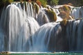 Krka Waterfalls National Park,Croatia Royalty Free Stock Photo