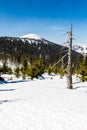 Krkonose Giant Mountains In Winter - Czechia Royalty Free Stock Photo