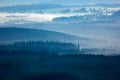 Krkonose mountain, forest in the wind, misty landscape with fog and clouds, mountain pine trees, Czech Republic, central Europe.