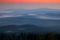 Krkonose mountain, forest in the wind, misty landscape with fog and clouds, mountain pine trees, Czech Republic, central Europe.