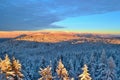 Krkonose Mountains in winter, Czech Republic. Frozen trees, the highest peak Snezka in the background.
