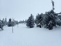 krkonose mountains in winter with snow Royalty Free Stock Photo